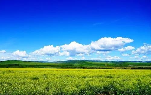 深港強化生態環境領域規則銜接與機制對接，攜手共赴美麗中國先行區之約 