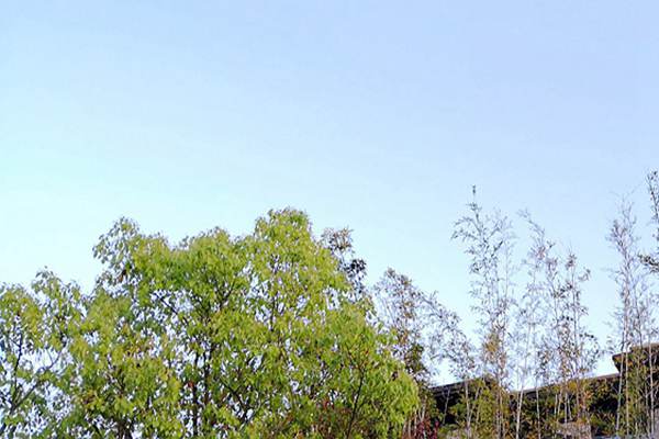 廢氣治理＋綠色運輸！安徽省第三生態環境保護督察組調研阜陽空氣質量提升攻堅 