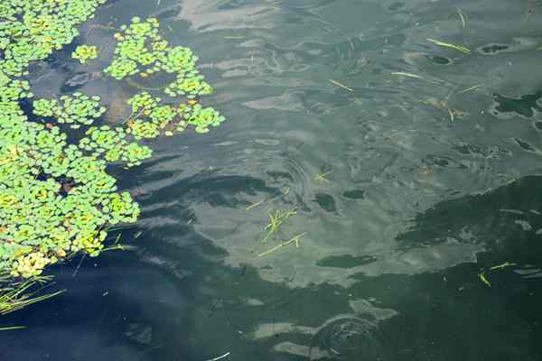 常州市召開全市污染防治攻堅推進會 