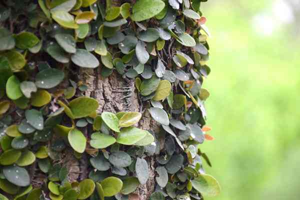 全國已建成“兩級、三類、一清單”的生態環境分區管控體系 